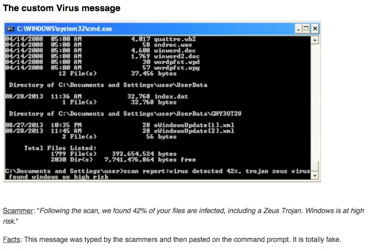 012_custom_virus.png