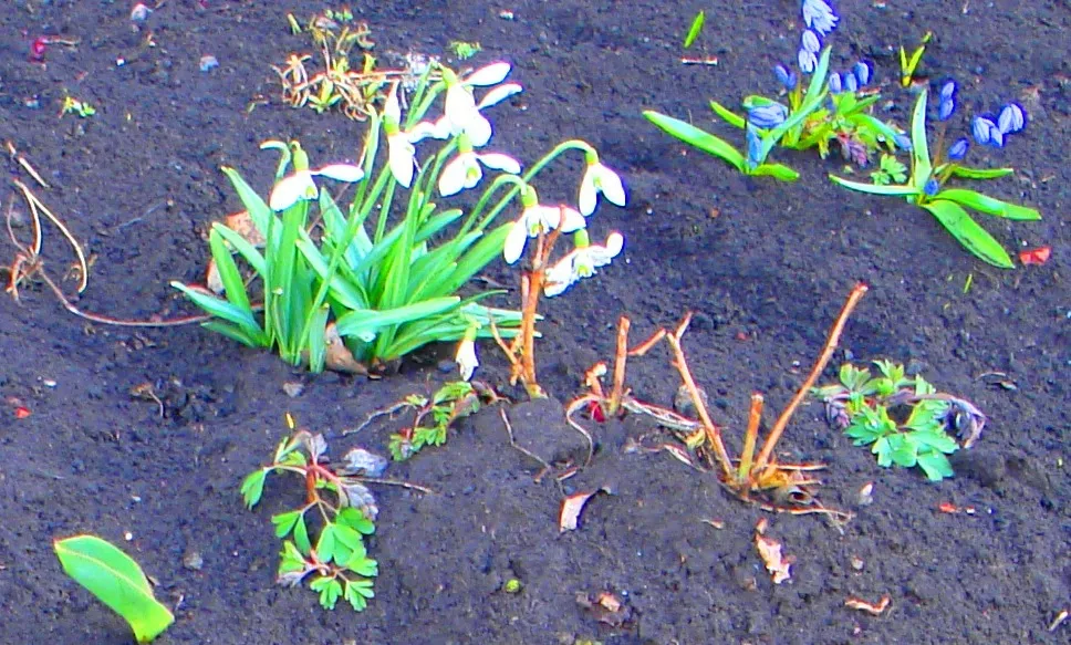 DSC01567-2222345.jpg