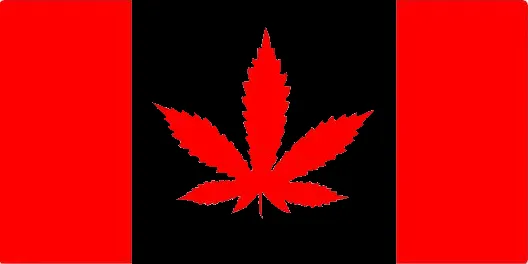 alternate flag.png