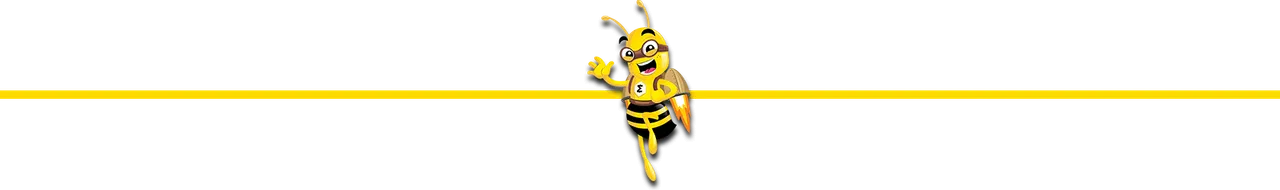 smartbee-devider.png