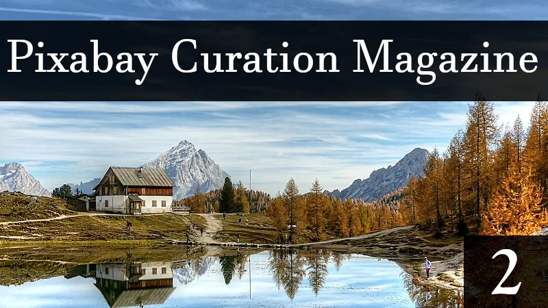 pixabaycuration2.png