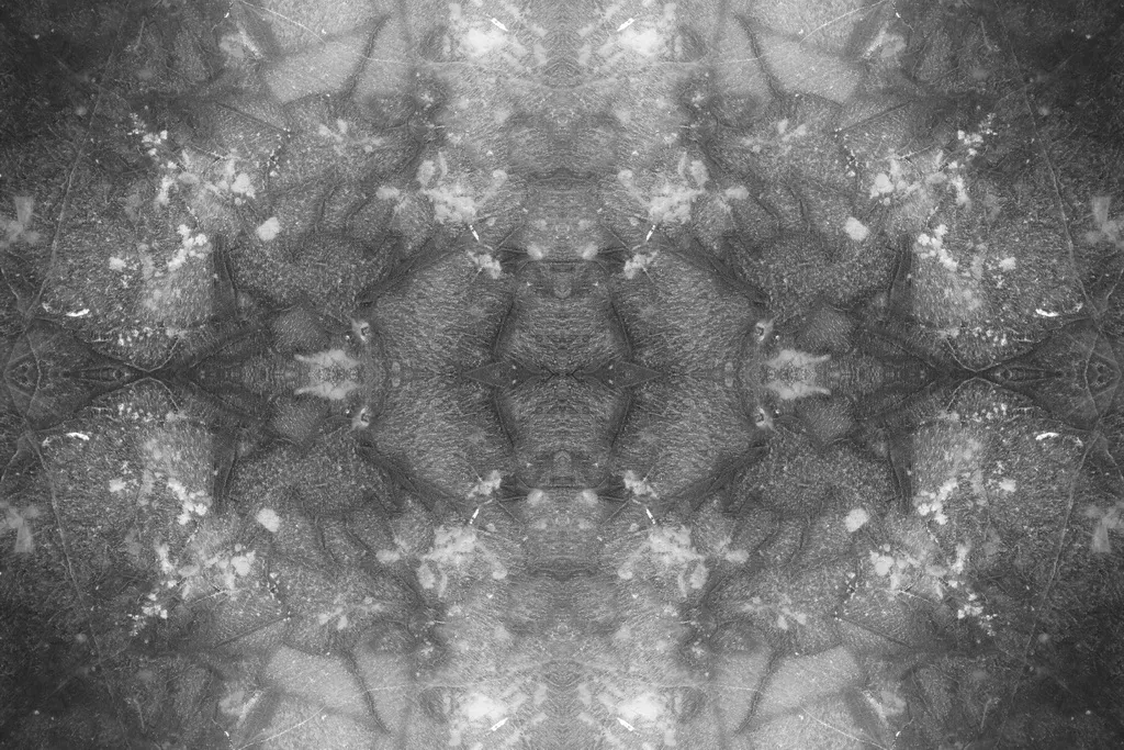 p0118_38b_resize.JPG