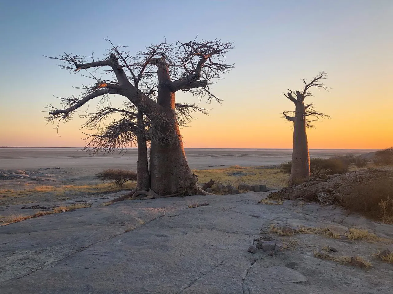 Botswana_2018_92.jpg