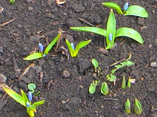 DSC01402-3333333.jpg