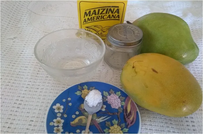 materiales compota de mangos .jpg