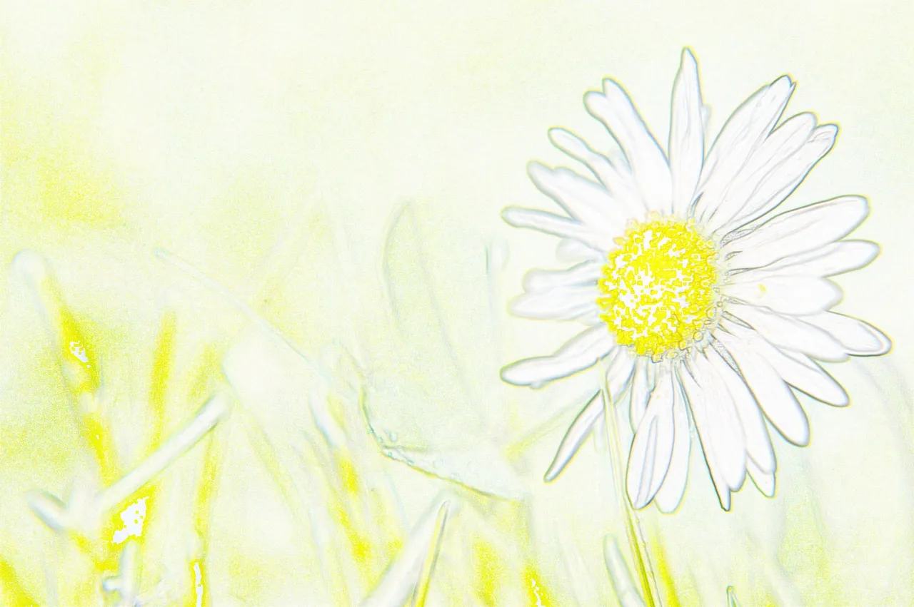 08May13_930_color_pencil_1600.JPG