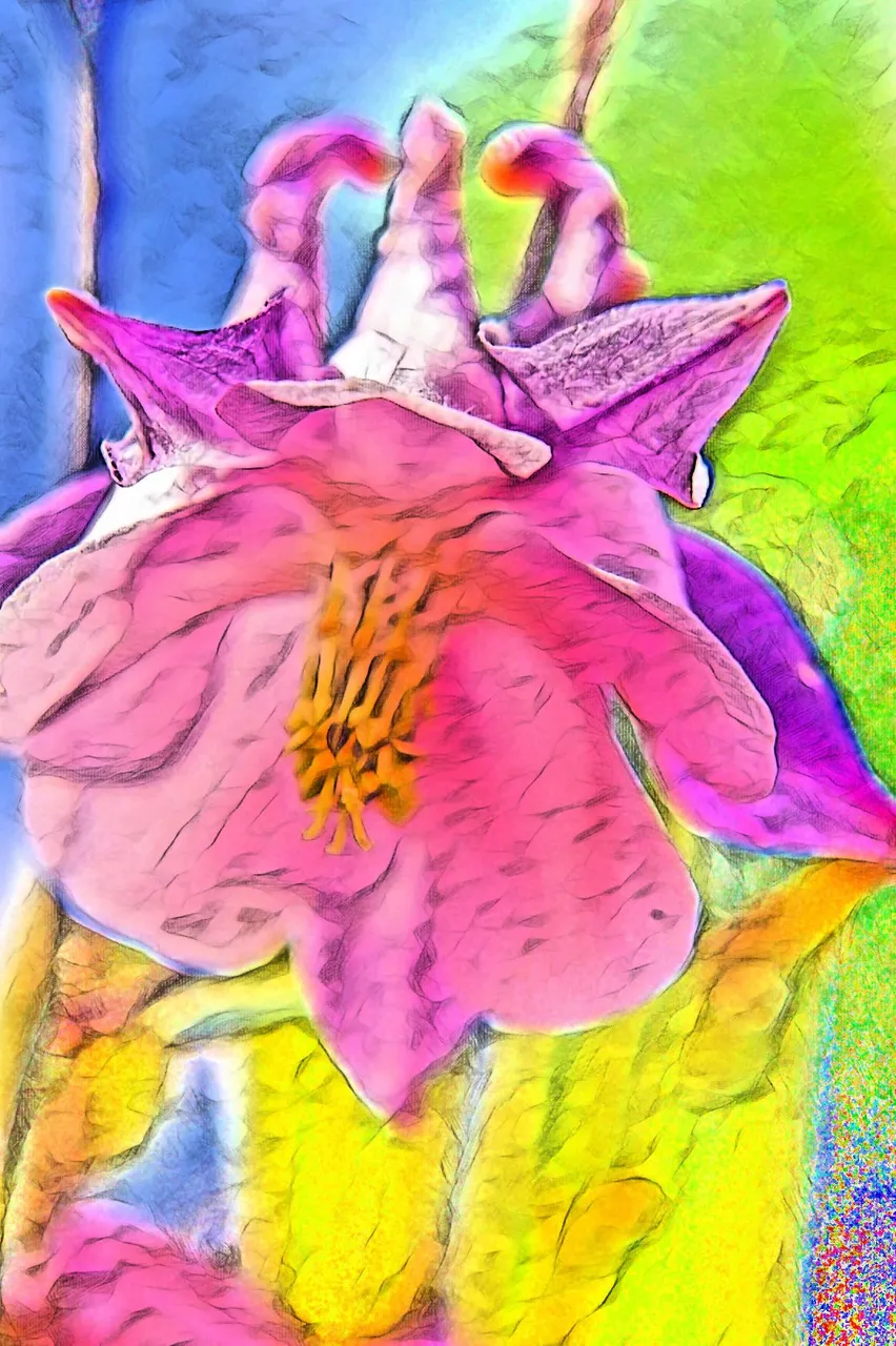 imageedit_dreaming_4647479826.jpg