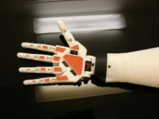 InMoov5.jpg