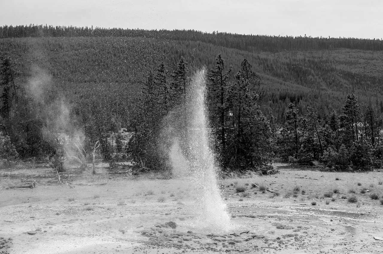 watering_hole_3_copy.jpg
