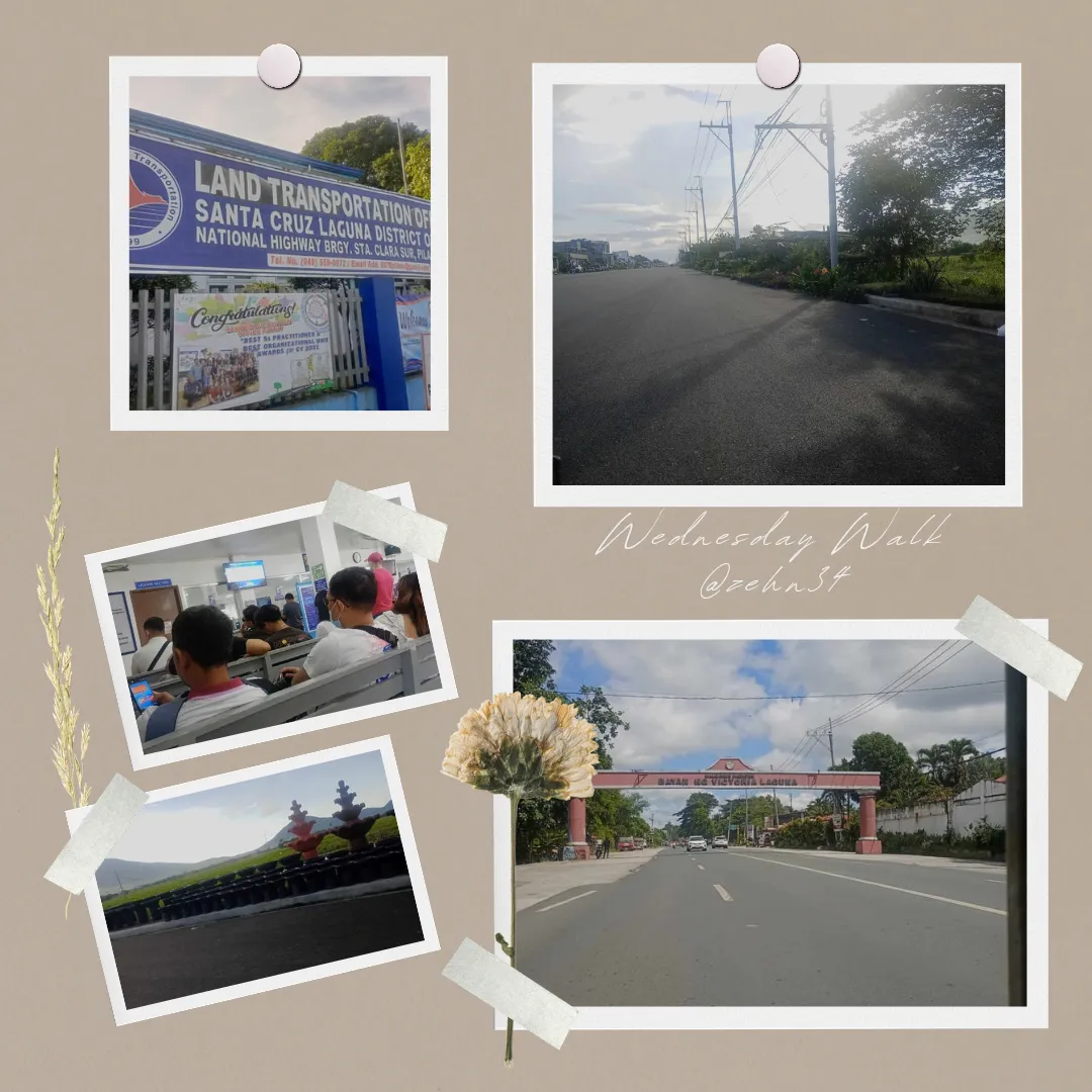 Our Travel to LTO Sta. Cruz Laguna for Driver s License Renewal