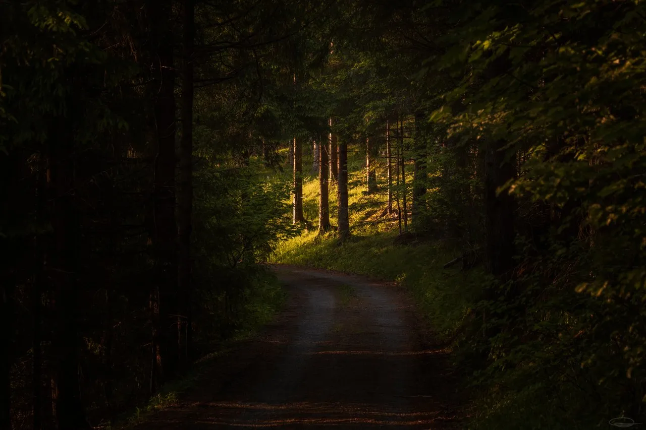 Every dark forest path ends in a clearing at some point