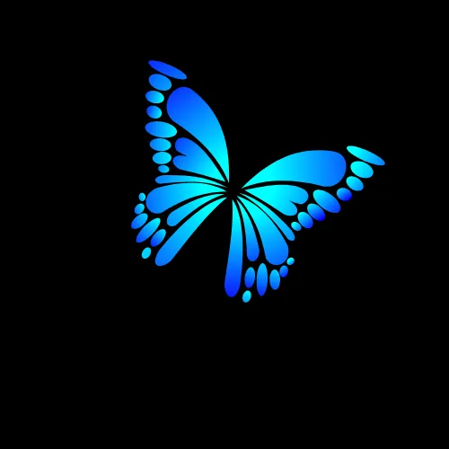 The Butterfly 🦋