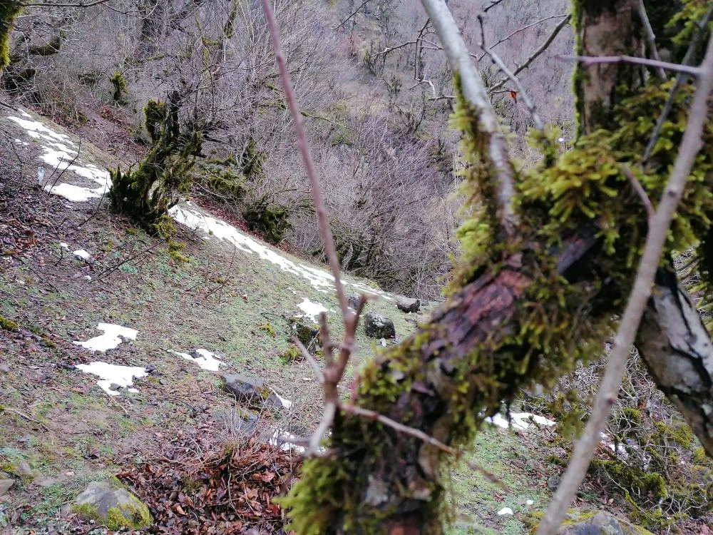 IMG_20240201_161359_1.jpg