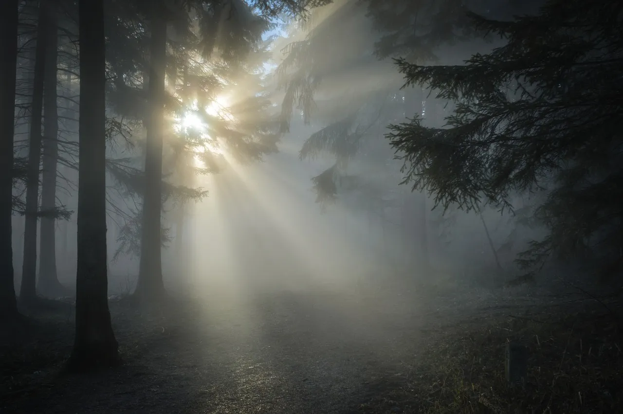sunbeams-1547273_1280.jpg