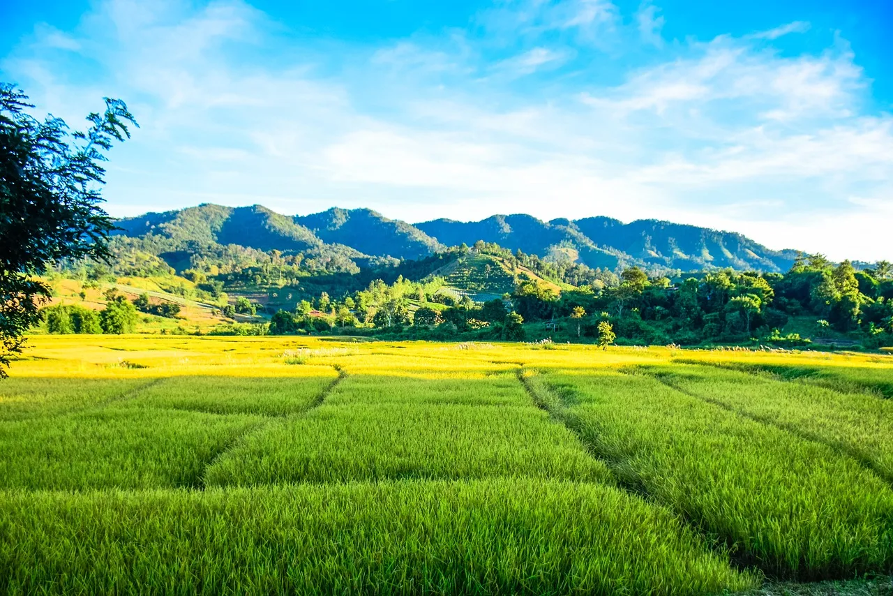 farmland-3727384_1280.jpg