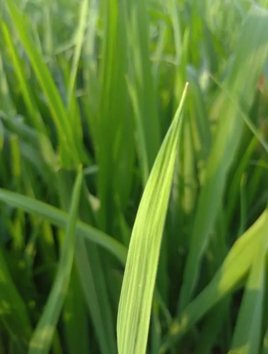 20210413_090434 (1).png