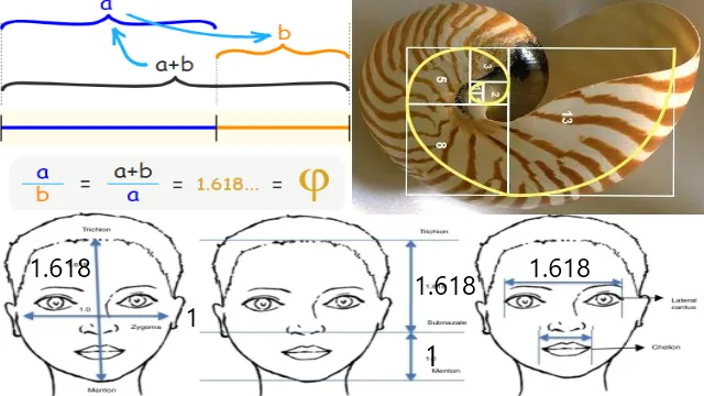 2.golden-ratio-nature.png
