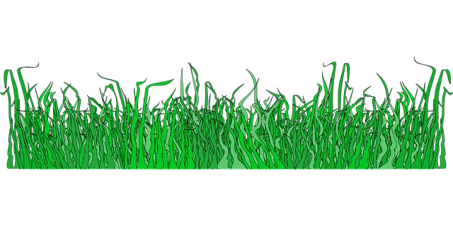 border-g13e37e2db_640.png