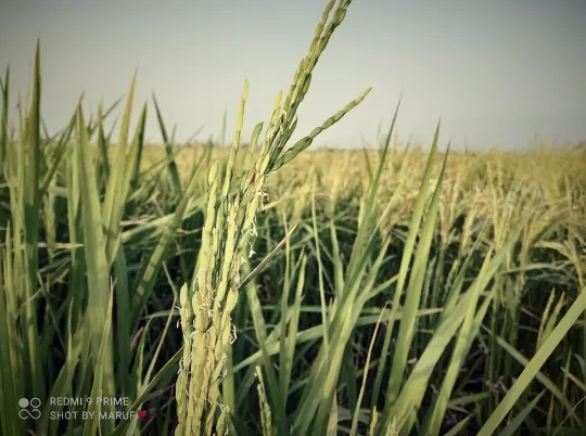 20210411_190539 (1).png