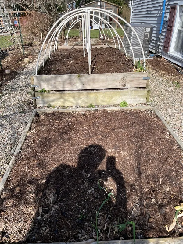 hive-garden-coldframe.jpg