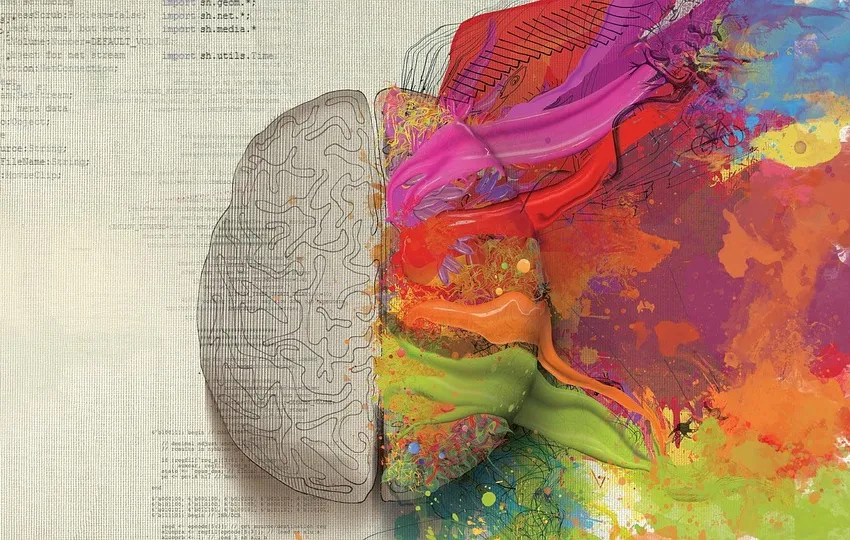 brain-ge41a711f3_1920.jpg