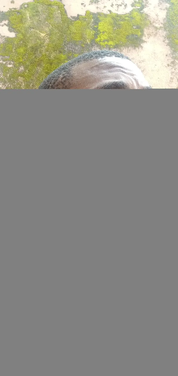 IMG_20221023_134243_4.jpg