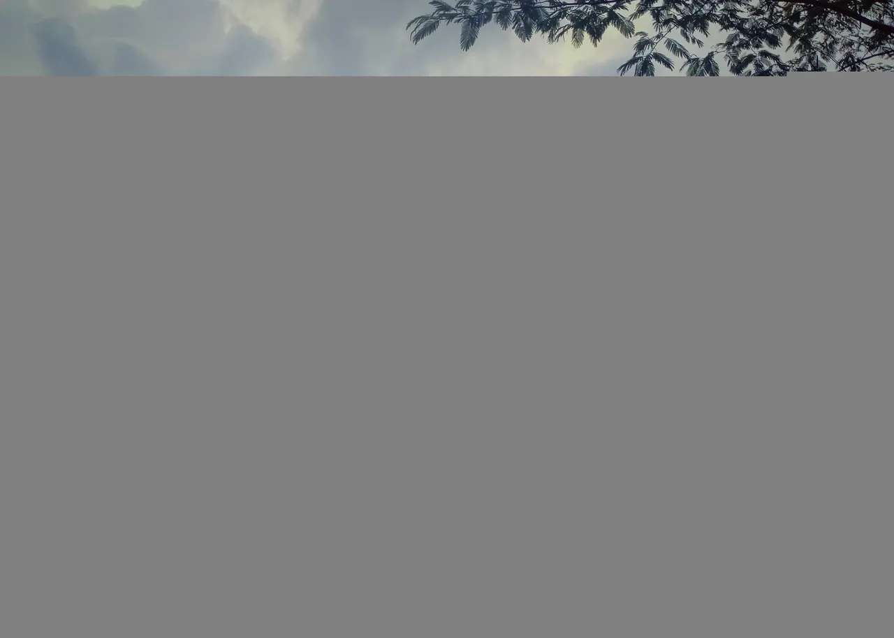 IMG20210726175443-01.jpeg