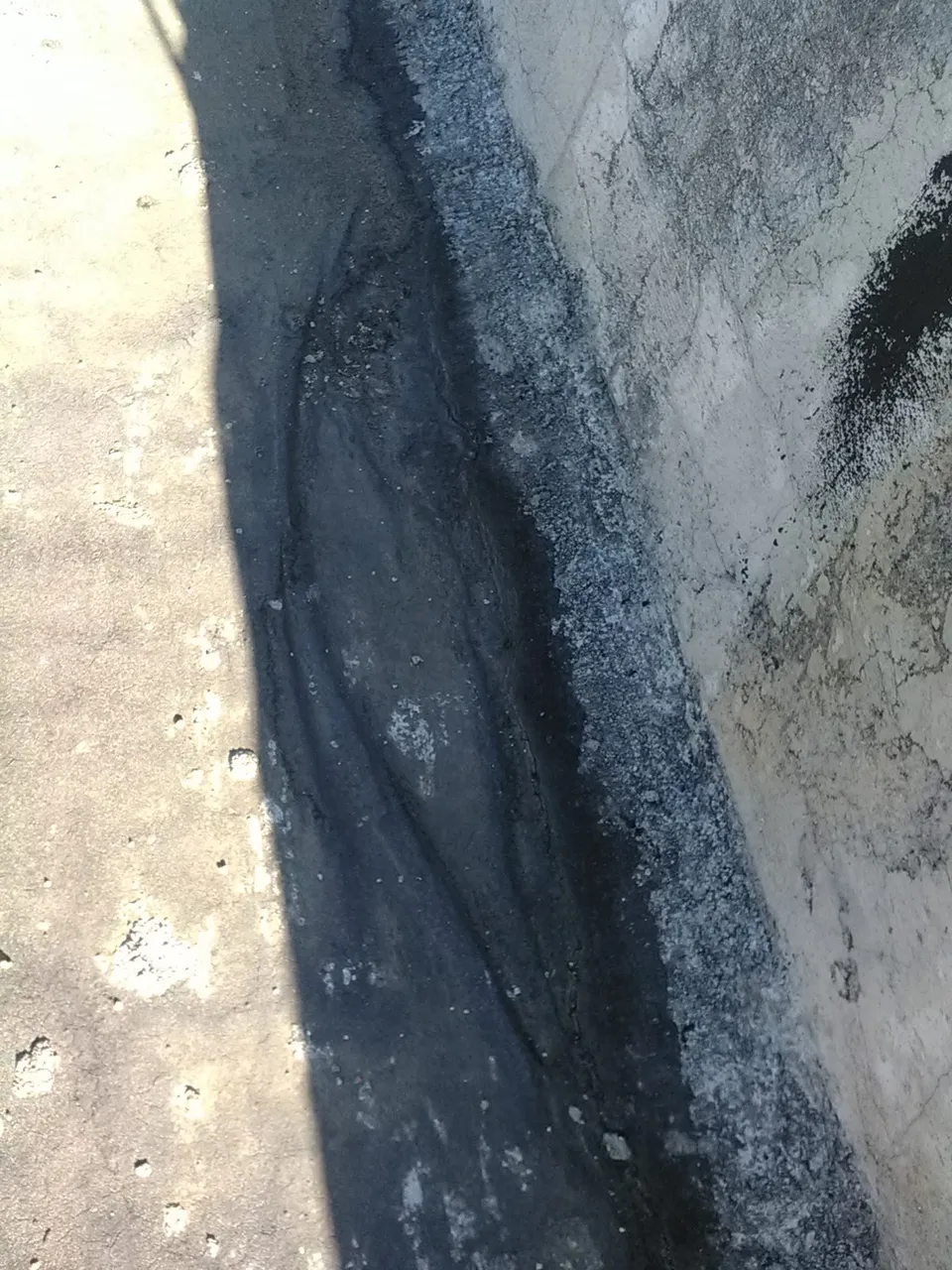 IMG_20201026_080936_1.jpg