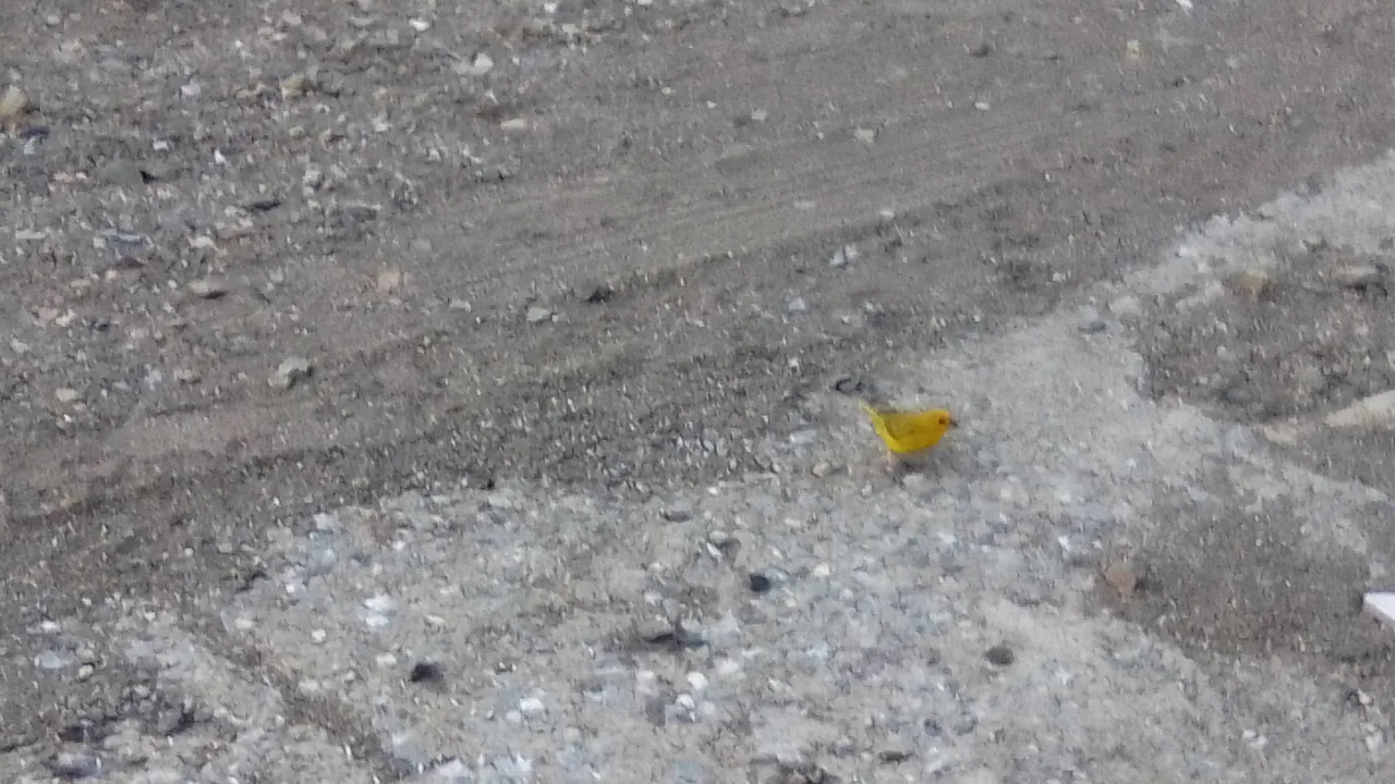 IMG_20200821_064542_1.jpg