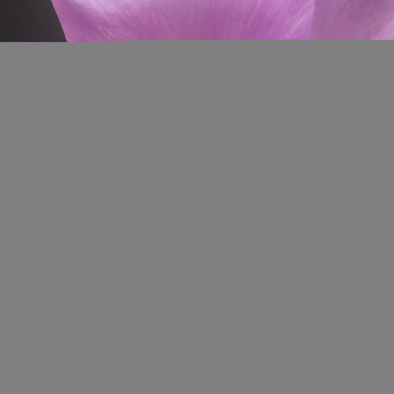 IMG20210127170306-02.jpeg