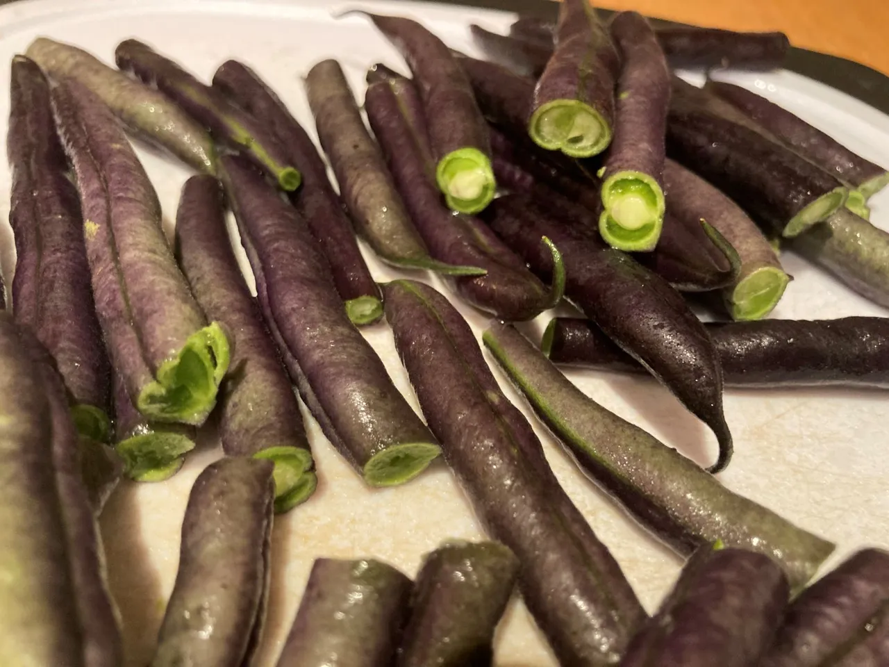 harvest beans two.jpg