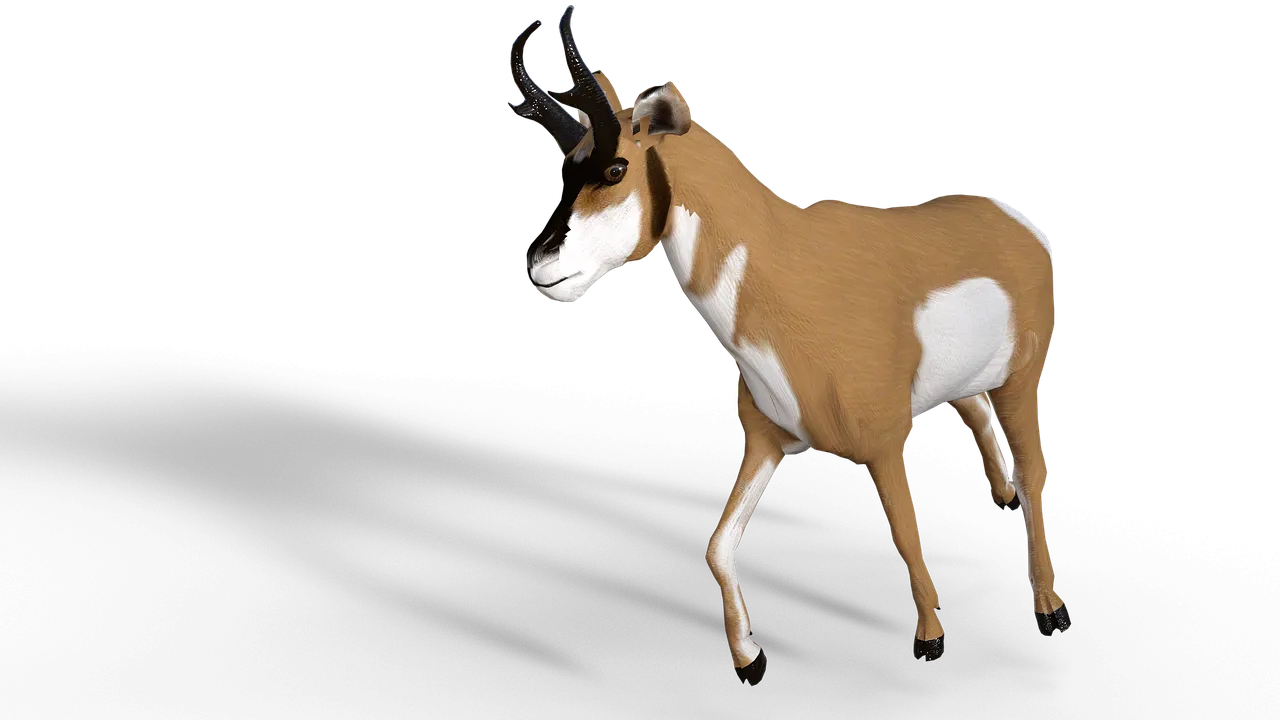 antelope-5056308_1280.png