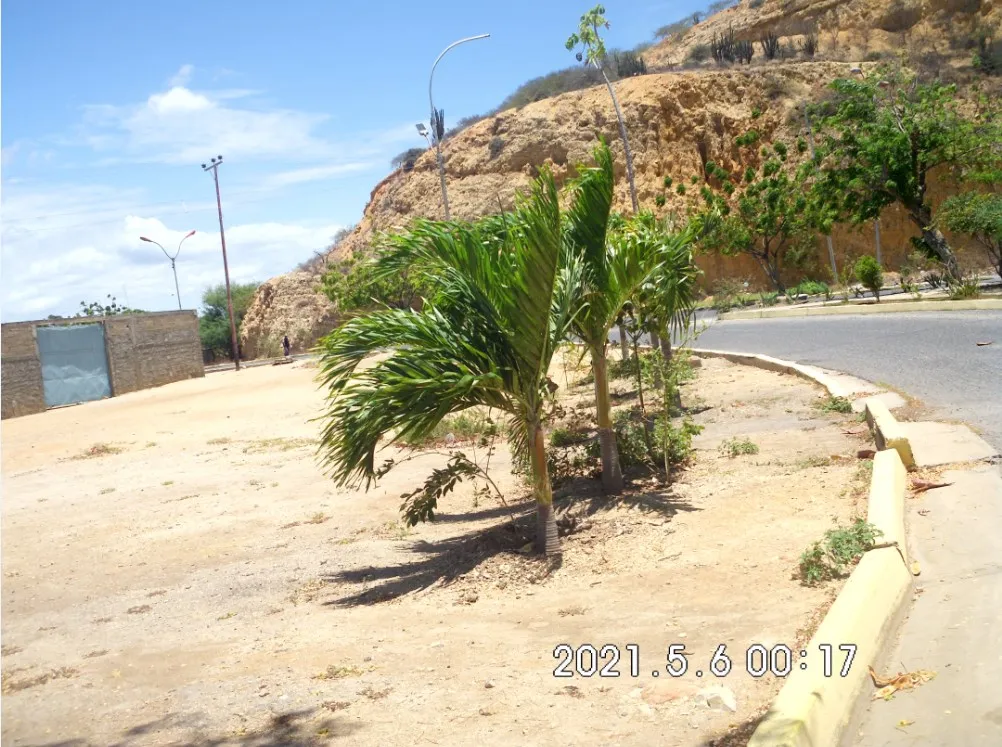 Cerro de cascajal.jpg