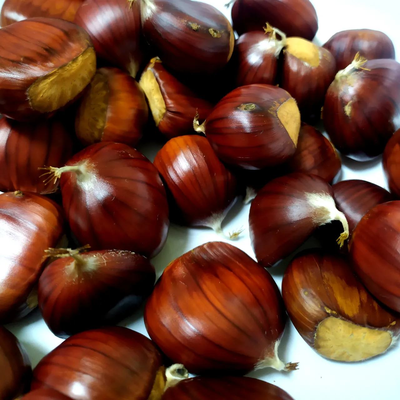 castagne-igpostformat.jpg