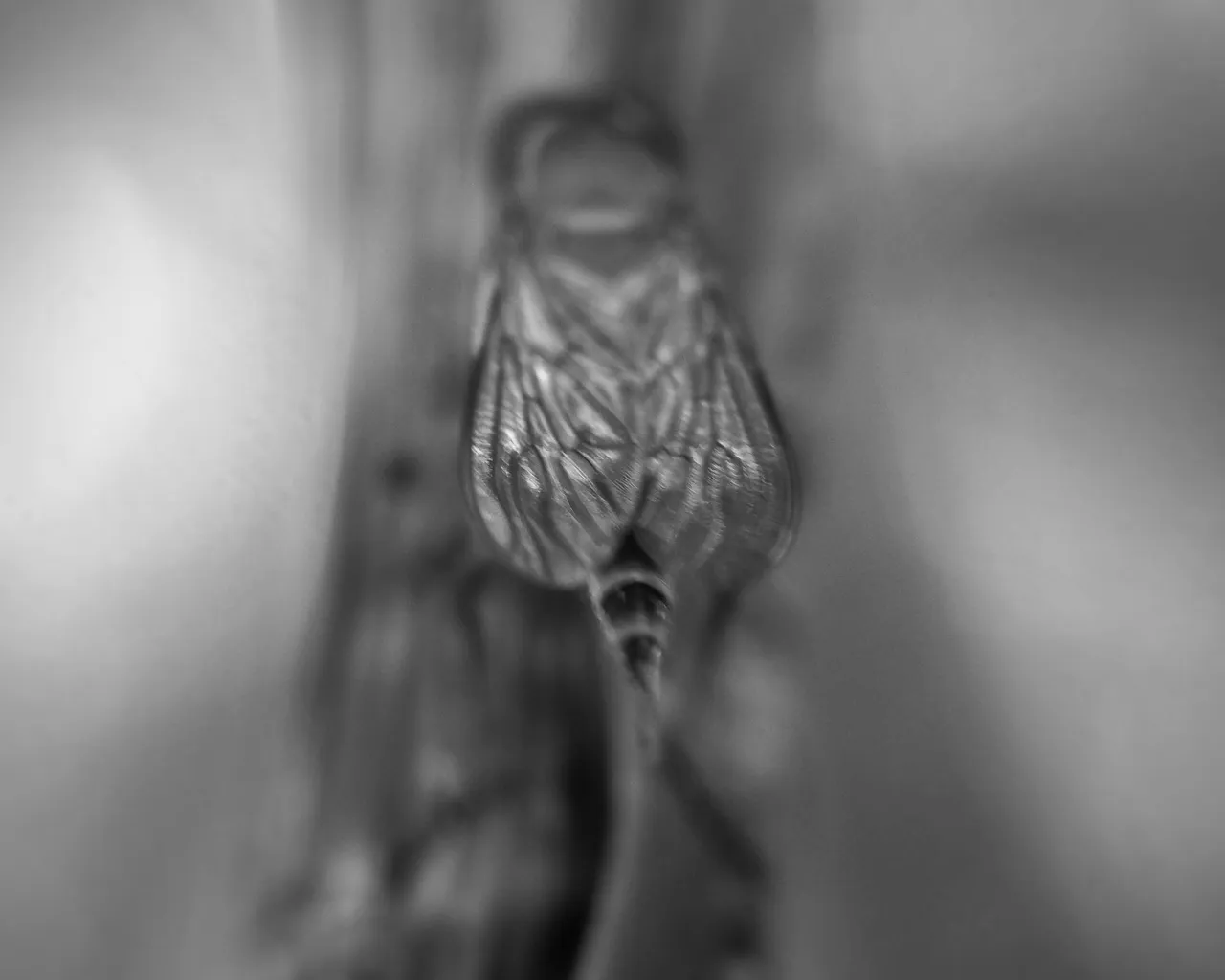 IMG20210208150556-01.jpeg