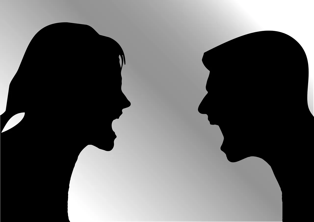 arguing-1296392_1280.webp