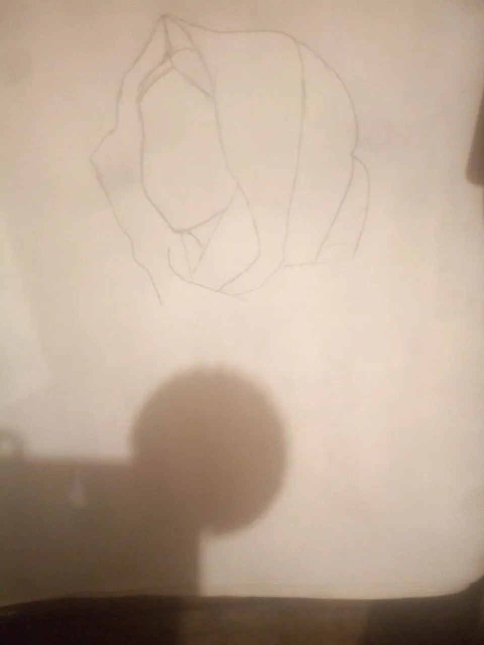 IMG_20200707_182423_1.jpg