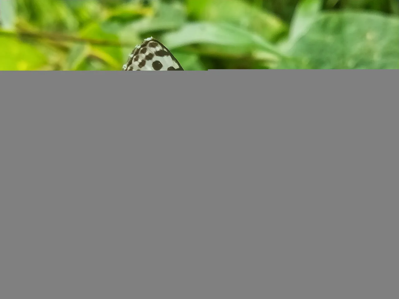 IMG20211217095820-01.jpeg