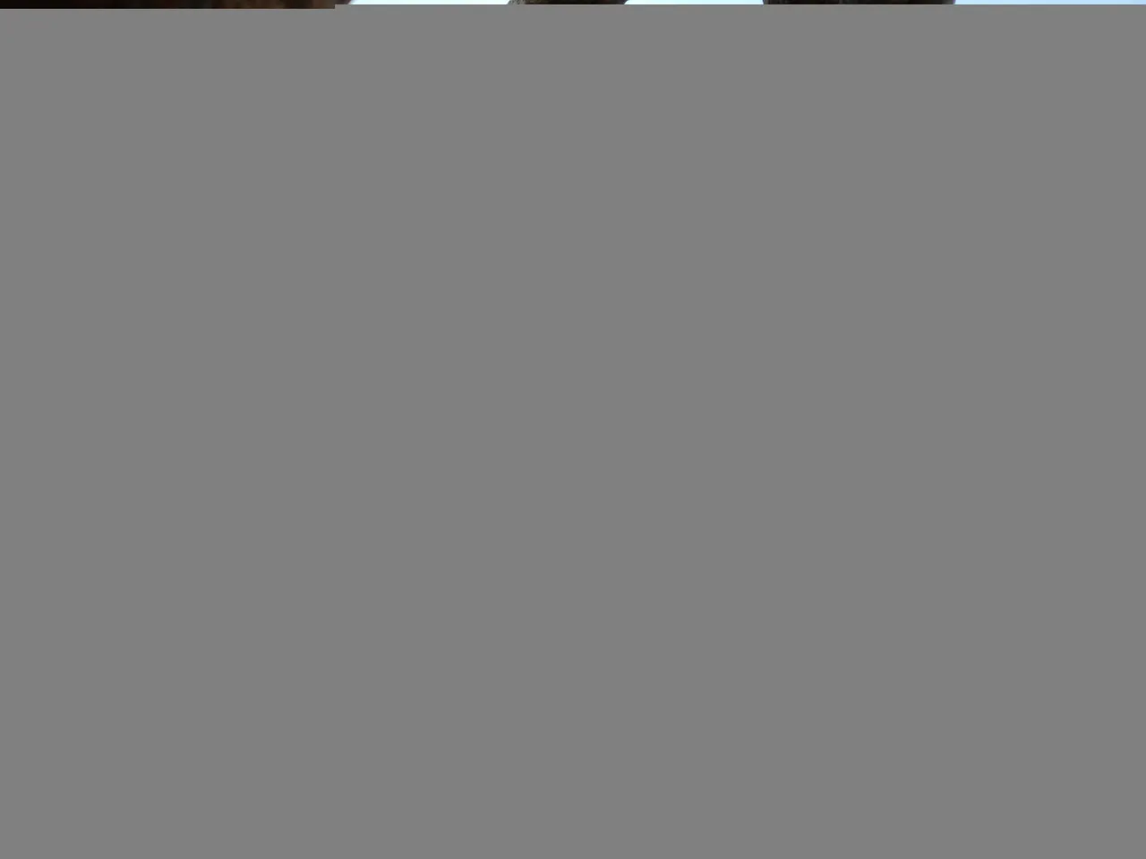 IMG20210913144517-01.jpeg