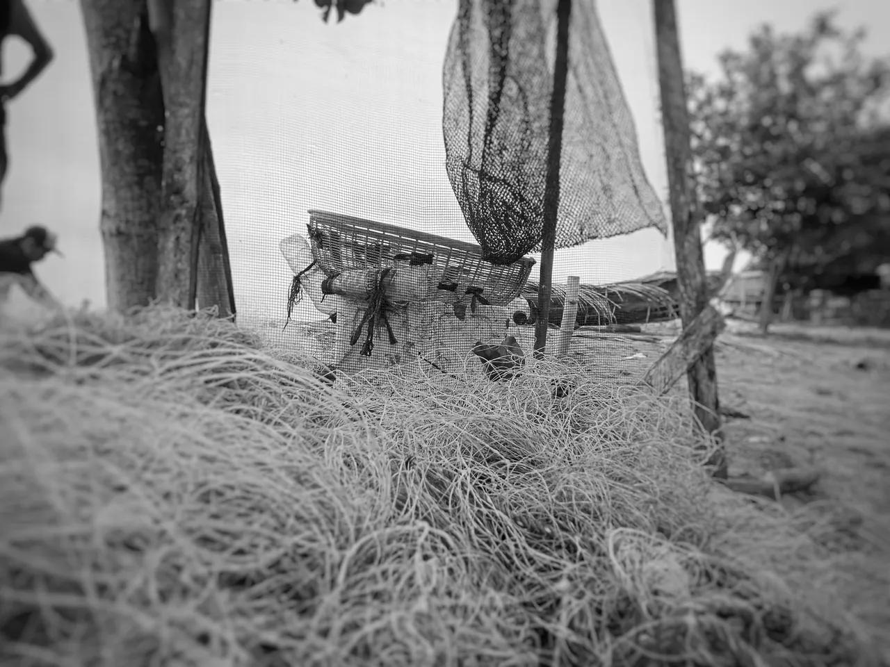 IMG20210913133955-01.jpeg