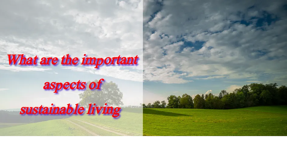 image_20220327_113240.png