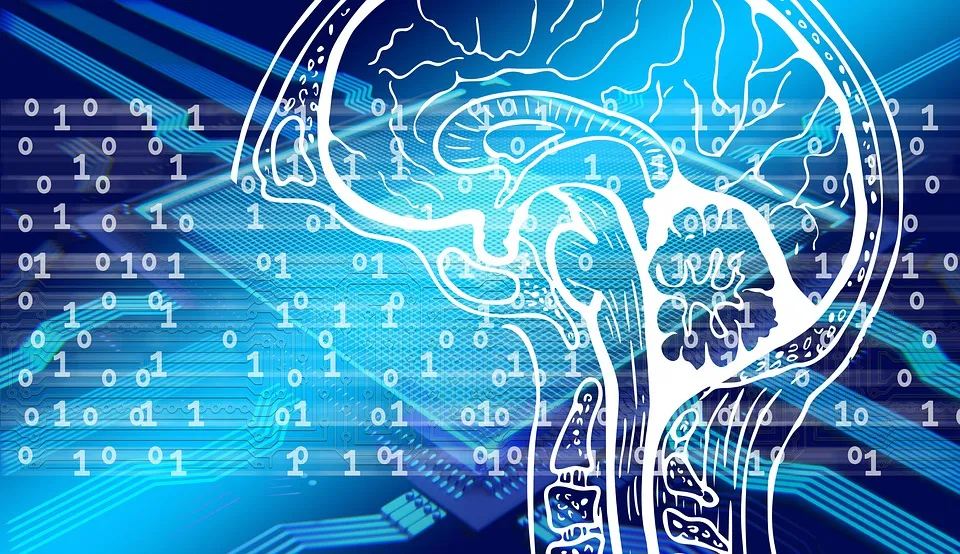 brain-4723976_960_720.jpg