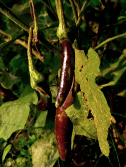 20210413_090348 (1).png