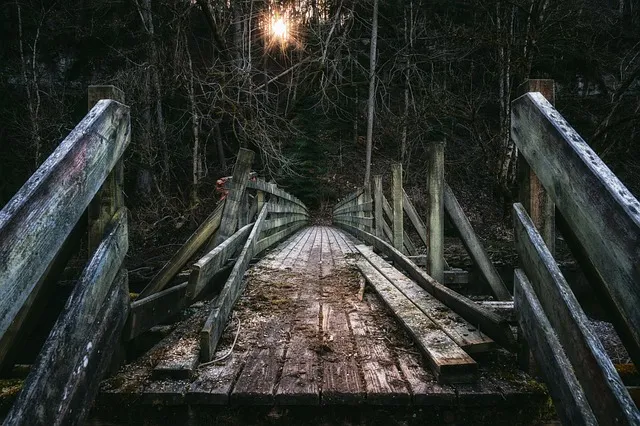 bridge-g90eb789d8_640.jpg