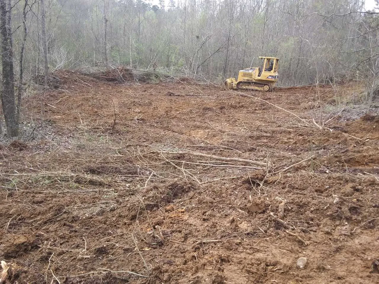 Clearing the land.jpg
