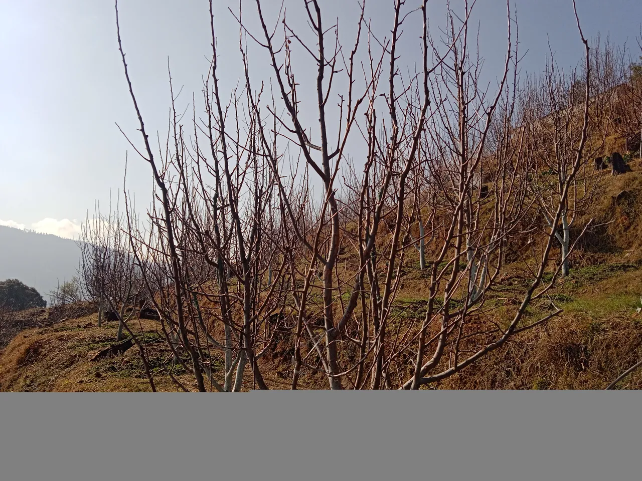 IMG_20220227_092002_1.jpg