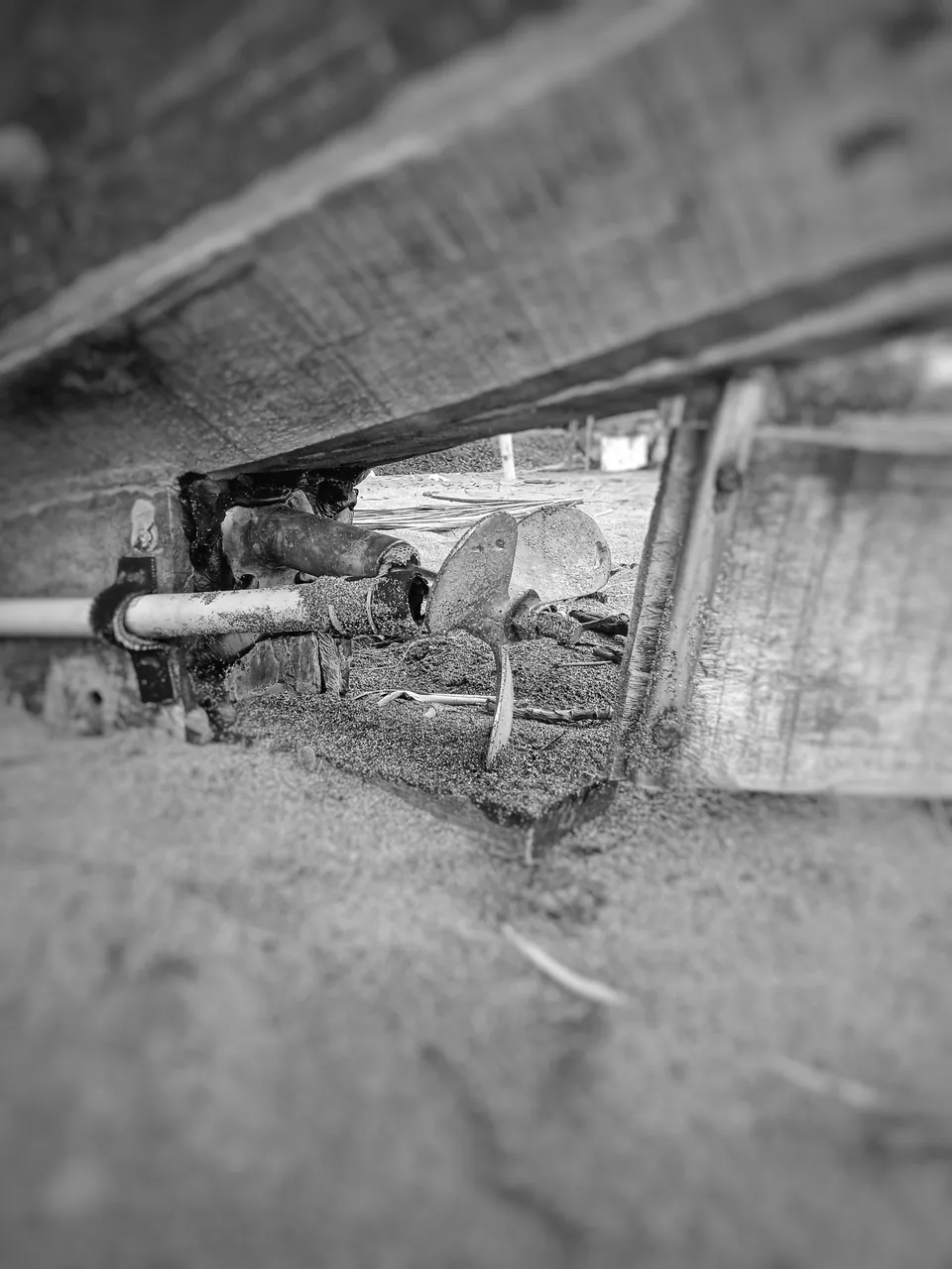 IMG20210913133743-01.jpeg