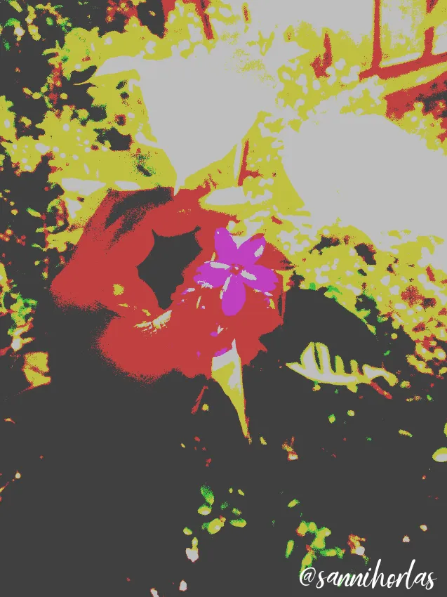 Picture04062020115804.png