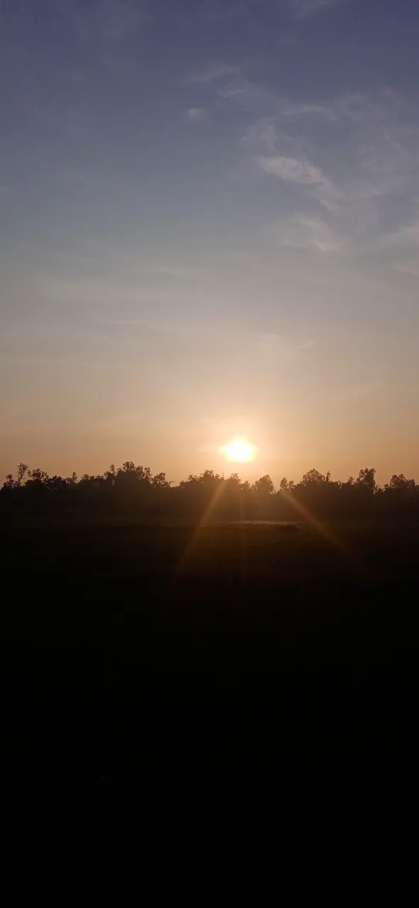 IMG_20220821_060432_1.jpg