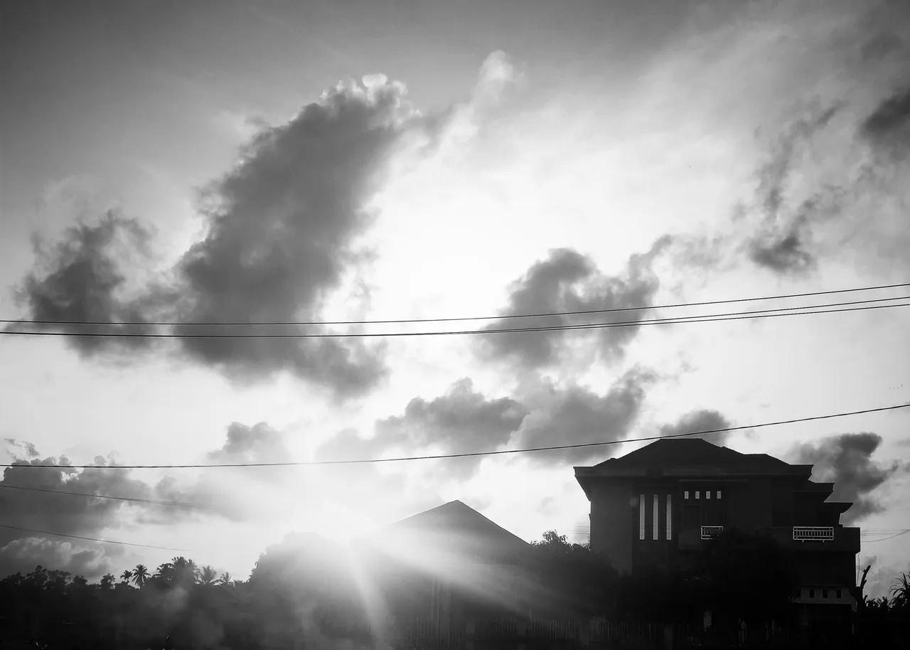 IMG20211003175159-01.jpeg